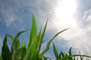 my passion header my passion header