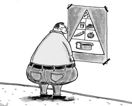 ketogenic diet how to start low carb diet gluten free ketosis ketones food pyramid ketogenic diet how to start low carb diet gluten free ketosis ketones food pyramid